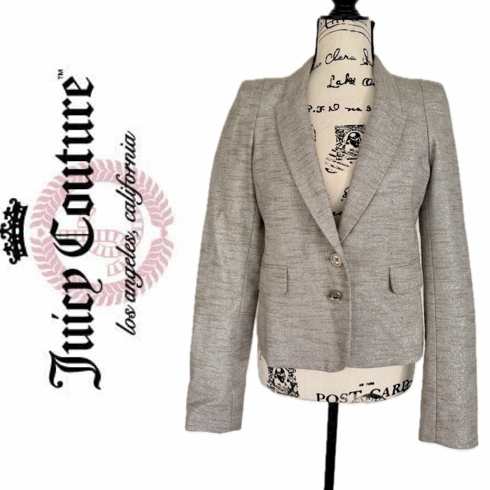 Juicy Couture Blazer Silver Mica Metallic Tailored Sz M Corp Core Quiet Luxury